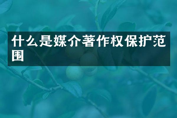 什么是媒介著作权保护范围