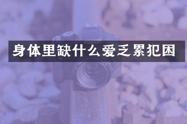 身体里缺什么爱乏困