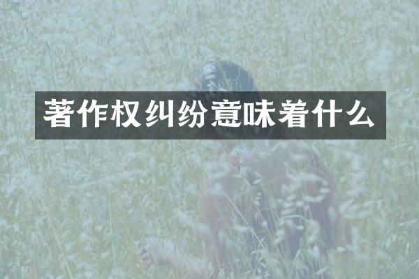 著作权纠纷意味着什么