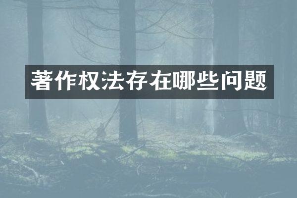 著作权法存在哪些问题