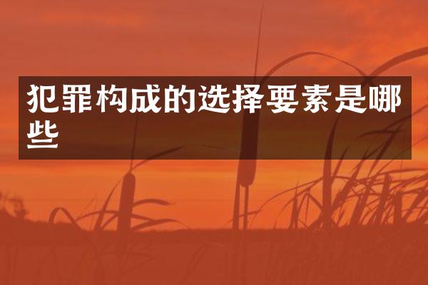 犯罪构成的选择要素是哪些
