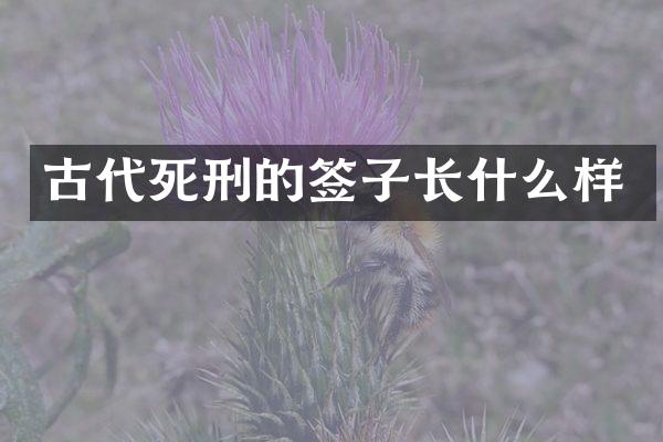 古代死刑的签子长什么样