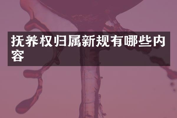 抚养权归属新规有哪些内容