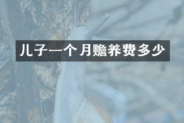 儿子一个月赡养费多少