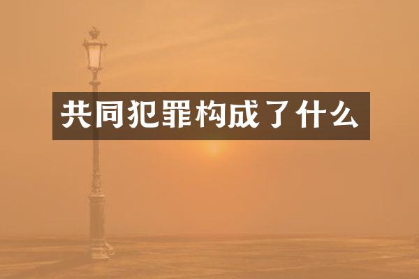 共同犯罪构成了什么