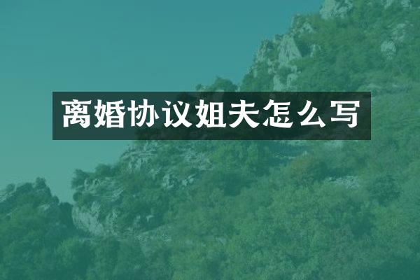 离婚协议姐夫怎么写