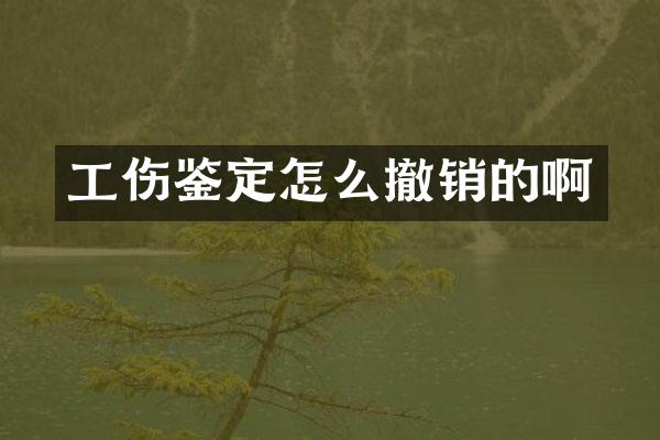 工伤鉴定怎么撤销的啊