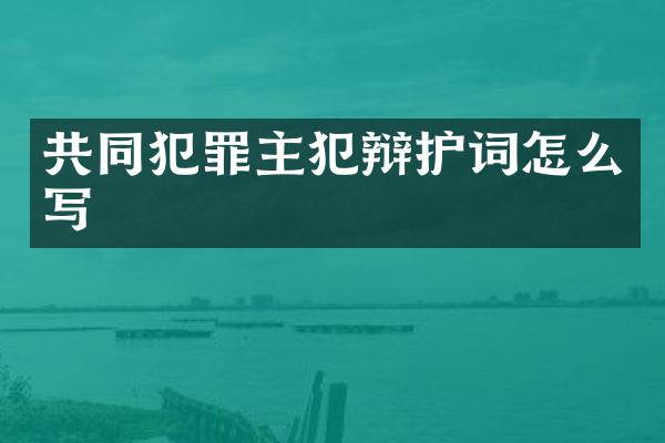 共同犯罪辩护词怎么写