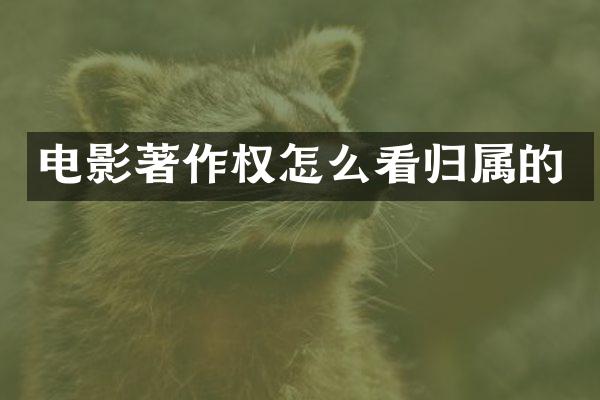 电影著作权怎么看归属的