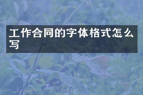 工作合同的字体格式怎么写