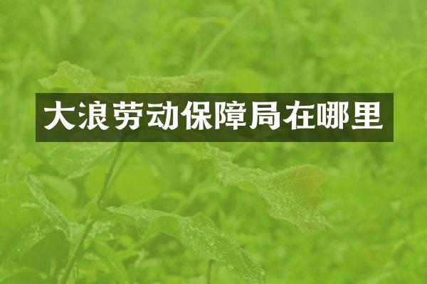 大浪劳动保障局在哪里