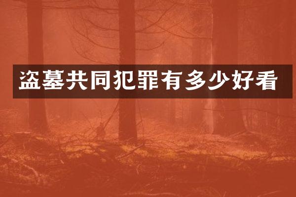 盗墓共同犯罪有多少好看