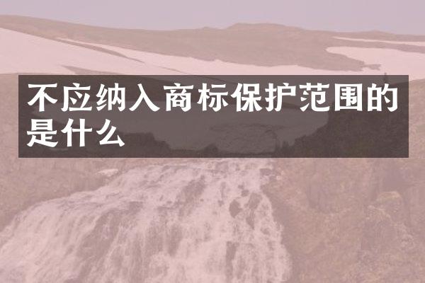 不应纳入商标保护范围的是什么