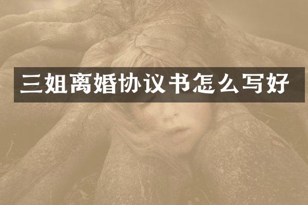 三姐离婚协议书怎么写好
