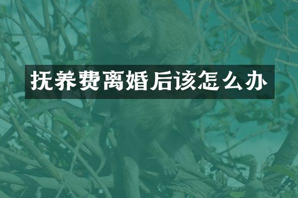 抚养费离婚后该怎么办