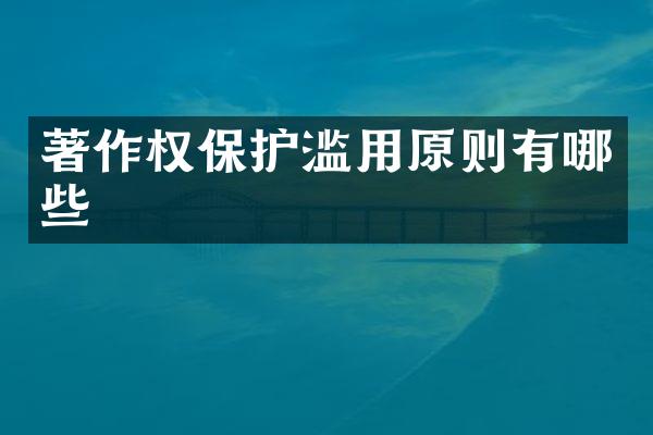 著作权保护滥用原则有哪些