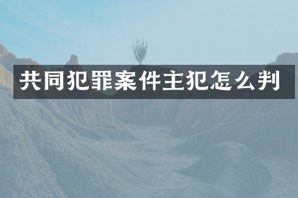 共同犯罪案件怎么判