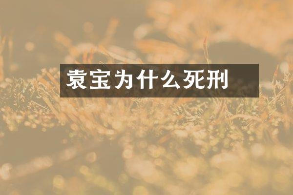 袁宝瓃为什么死刑