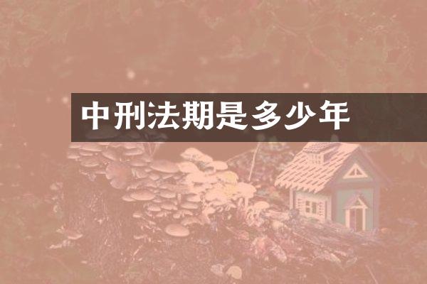 中國刑法無期是多少年