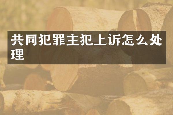 共同犯罪上诉怎么处理