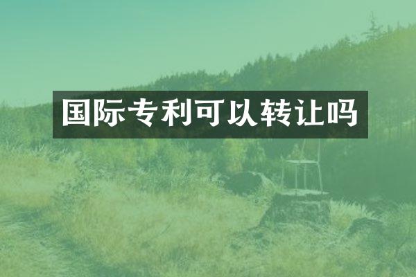 国际专利可以转让吗
