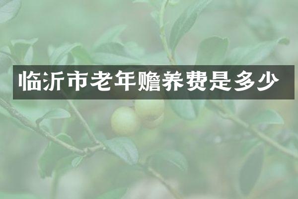 临沂市老年赡养费是多少