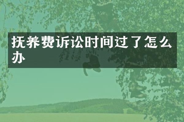 抚养费诉讼时间过了怎么办