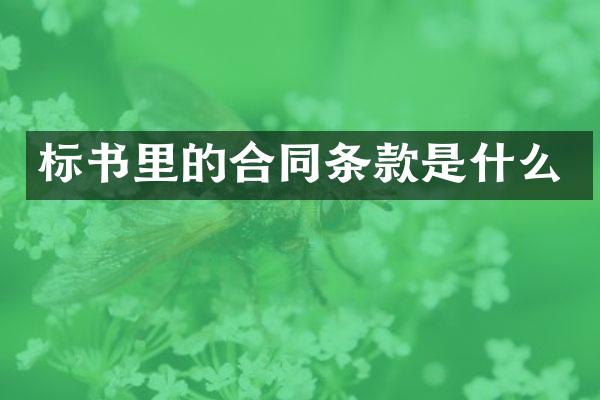 标书里的合同条款是什么