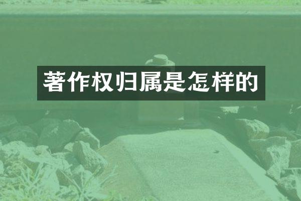 著作权归属是怎样的