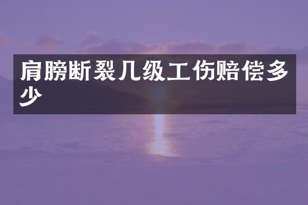 肩膀断裂几级工伤赔偿多少