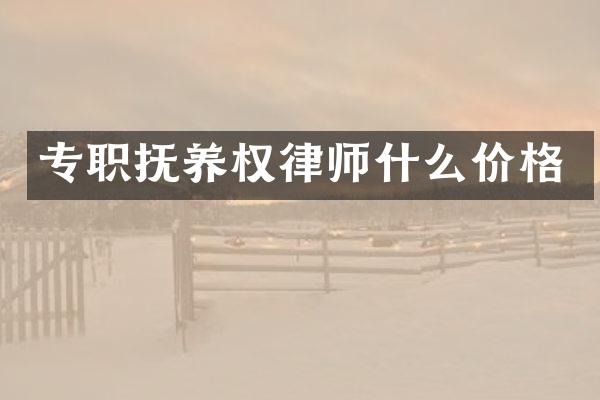 专职抚养权律师什么价格