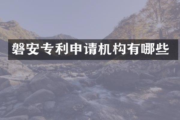 磐安专利申请机构有哪些