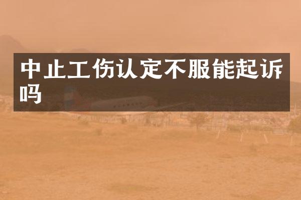 中止工伤认定不服能起诉吗