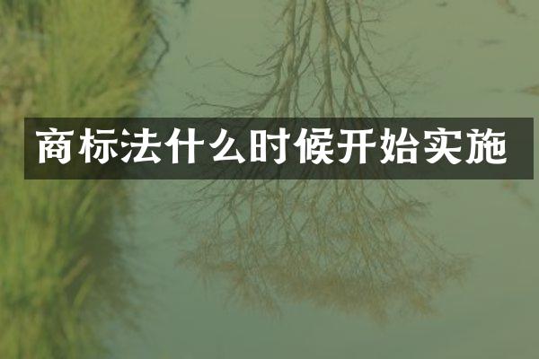 商标法什么时候开始实施