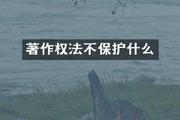 著作权法不保护什么