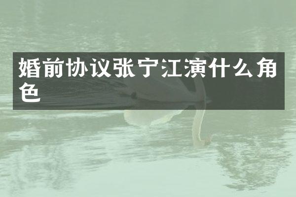 婚前协议张宁江演什么角色