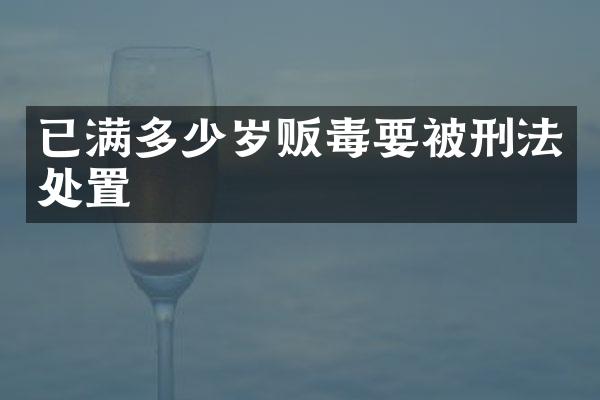 已满要被刑法处置