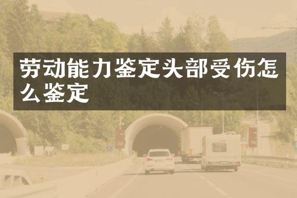 劳动能力鉴定头部受伤怎么鉴定