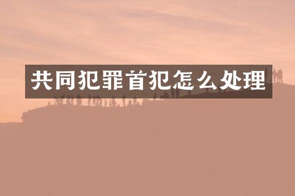 共同犯罪首犯怎么处理