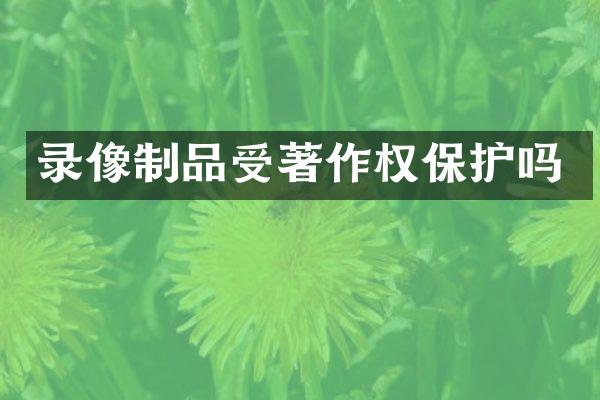 录像制品受著作权保护吗
