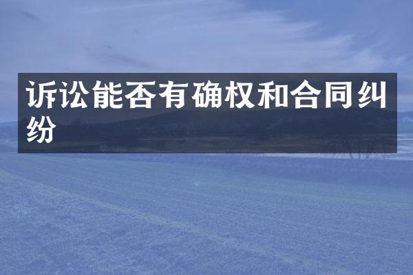 诉讼能否有确权和合同纠纷