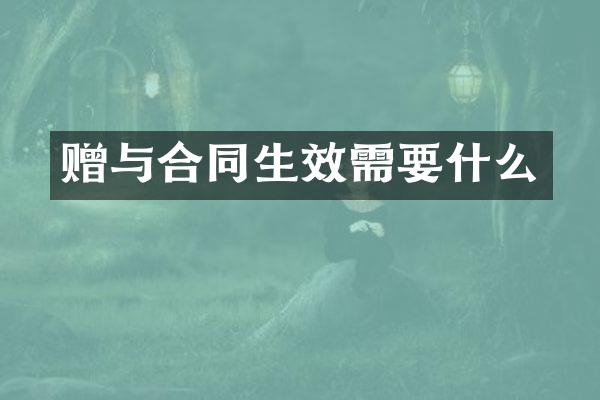 赠与合同生效需要什么