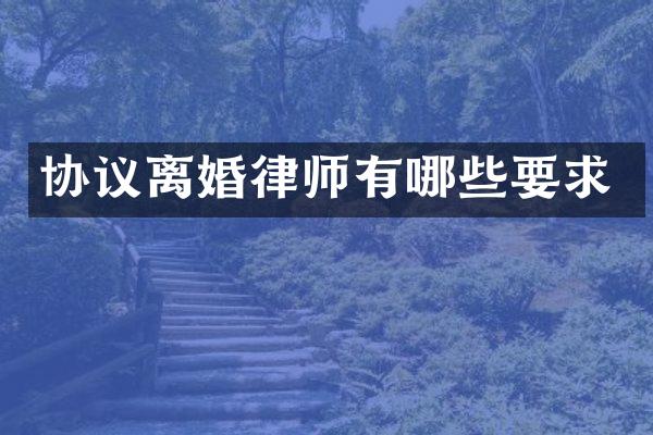 协议离婚律师有哪些要求