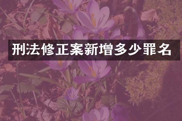刑法修正案新增多少罪名