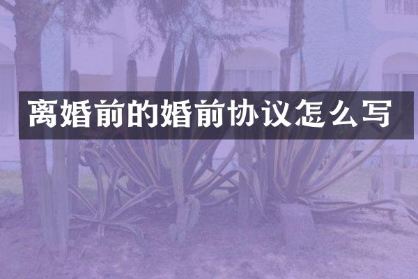离婚前的婚前协议怎么写