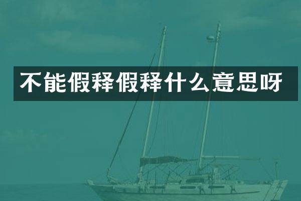 不能假释假释什么意思呀