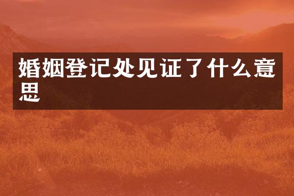 婚姻登记处见证了什么意思