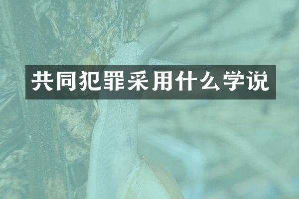 共同犯罪采用什么学说