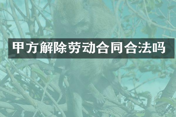 甲方解除劳动合同合法吗