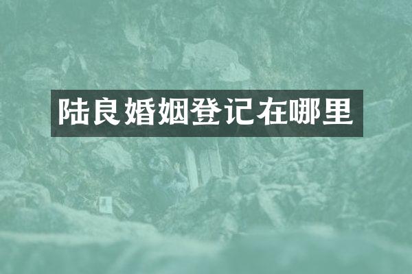 陆良婚姻登记在哪里